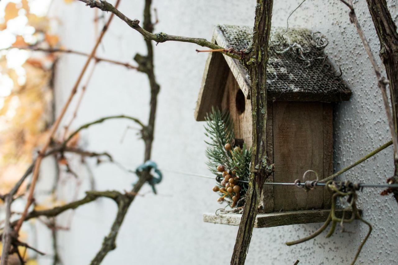 Art & Nature Apartments In Der Naehe Ffm-Messe Bad Vilbel Eksteriør billede